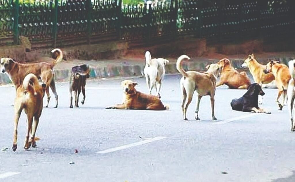 Iap 27 ngut na ka jingpang shah dait ksew ba khein sting ban shim dawai