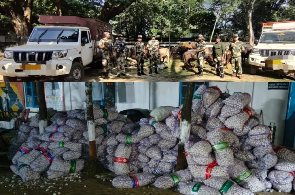 Ioh bat ki BSF ar tylli ki kali, kurup masi bad rynsun ba T.15 lak