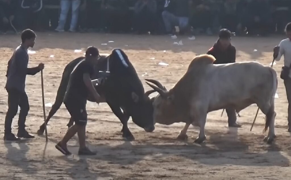 Pynap ka sorkar da ki kyndon ain ia kiba pynlongiakop dur masi