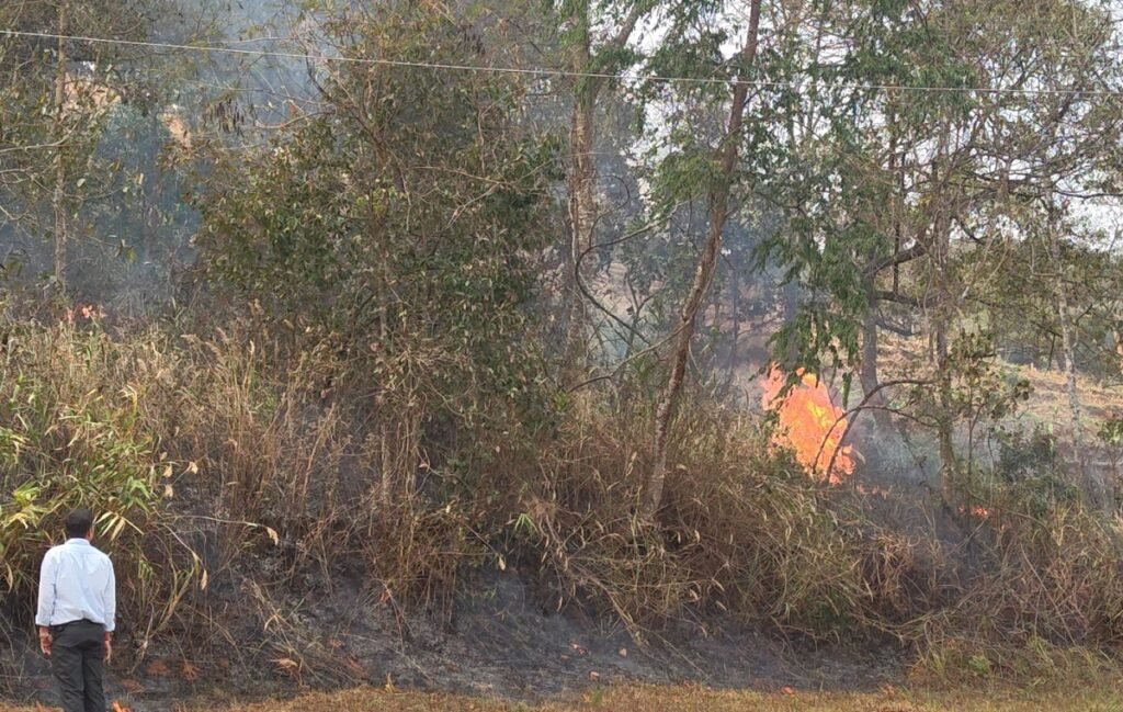 Lait thaw ka ophis ICAR na ka jingpluh, ba klang ka ding ha ka khlaw ba marjan