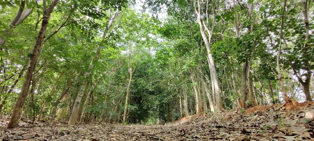 Pynskhem biang ka TKM ïa ka jingïaikut jingmut jong ka ban pynneh ïa ka mei mariang ha ka sngi “Earth Day”