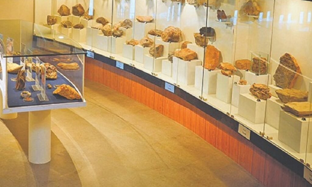 Ka Williamson Sangma Museum ka jingphla ba im ia ka jinglong tynrai ka jaidbynriew