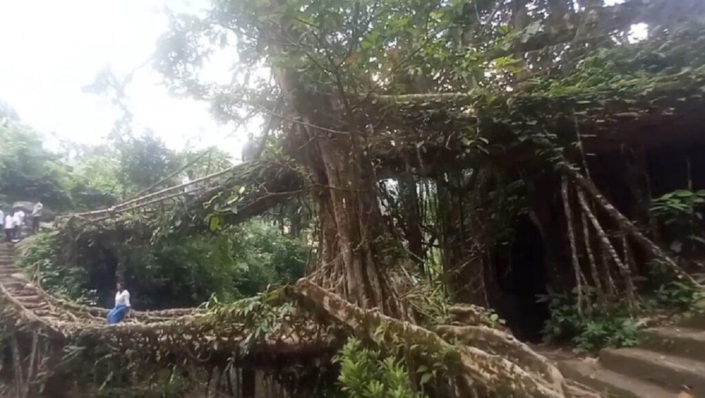 Ka jingkieng jri ar-mala ka long ka ksiar ïa ka shnong Nongriat