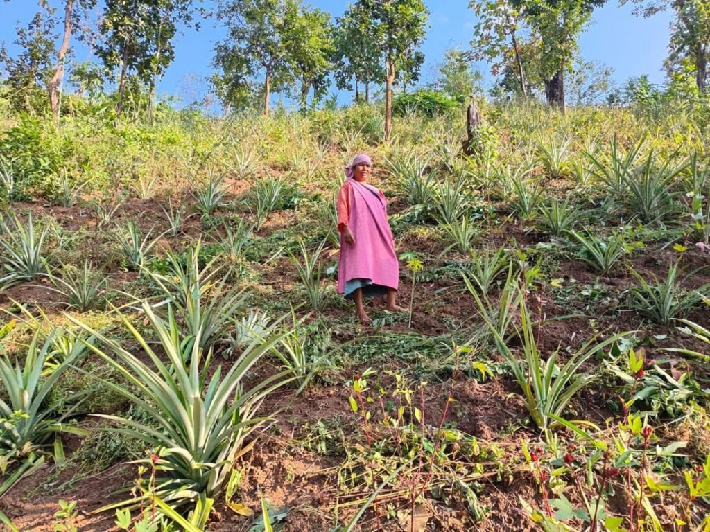 Ka ICICI Foundation ka kner ia ka kti jingiarap sha palat 310 ngut ki nongrep ha ka jylla Meghalaya