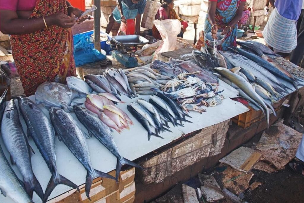 Pynjari kyndon 163 BNSS ban mana khaii tuh ia ki dohkha na Bangladesh