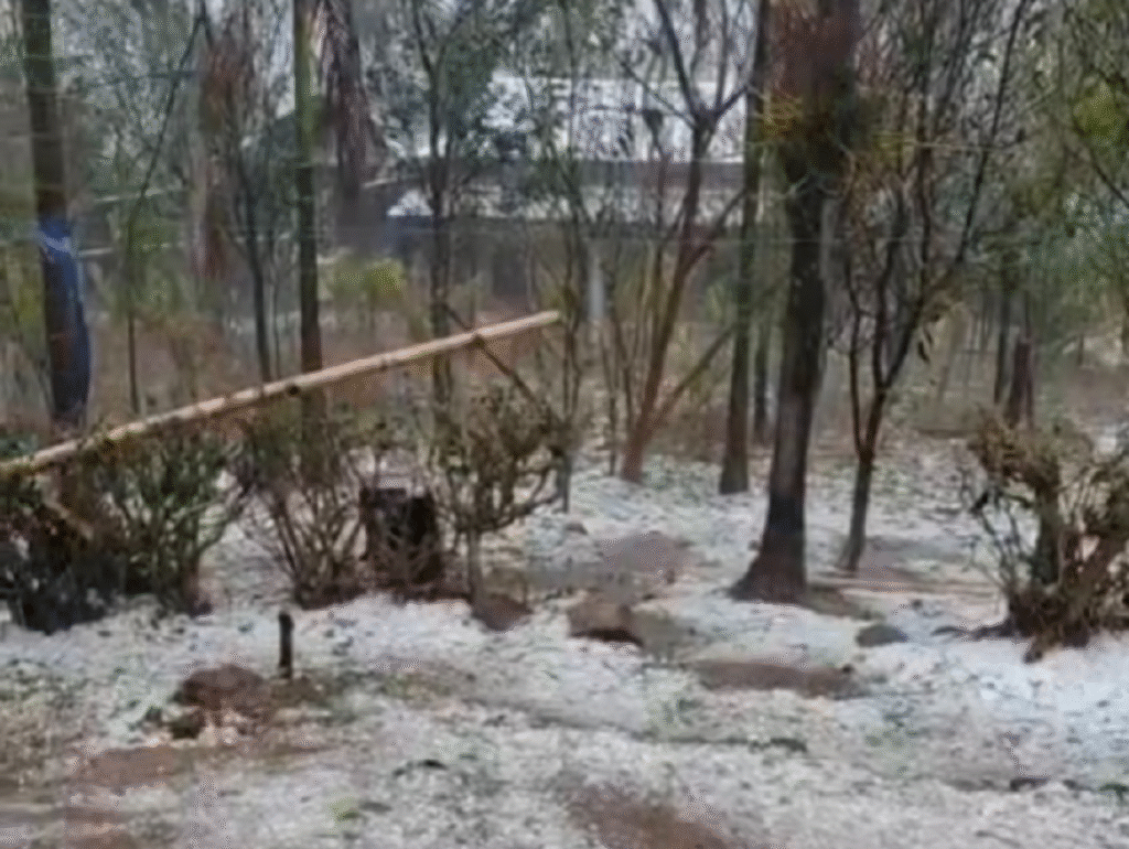 Mynsaw ki khynnah skul ba kyrwit u phria bad erïong ha Jakhong