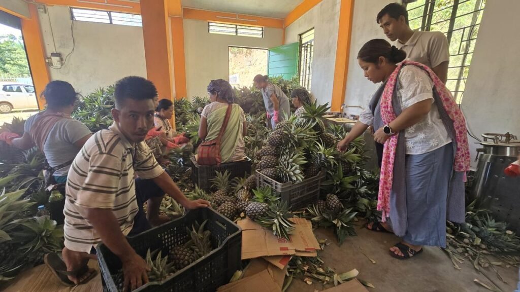 Ki Nongdie Harud Surok Ba la Kylla Long Ki Nongphah Mar Sha Bar Ri: Ki Nongrep Meghalaya Kiba la Ioh Number Ki la Kheit Ia Ki Soh Jong Ka Jingtrei Shitom